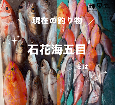 現在の釣り物石花海 (2).png