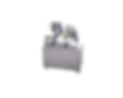 PPT WEB.png