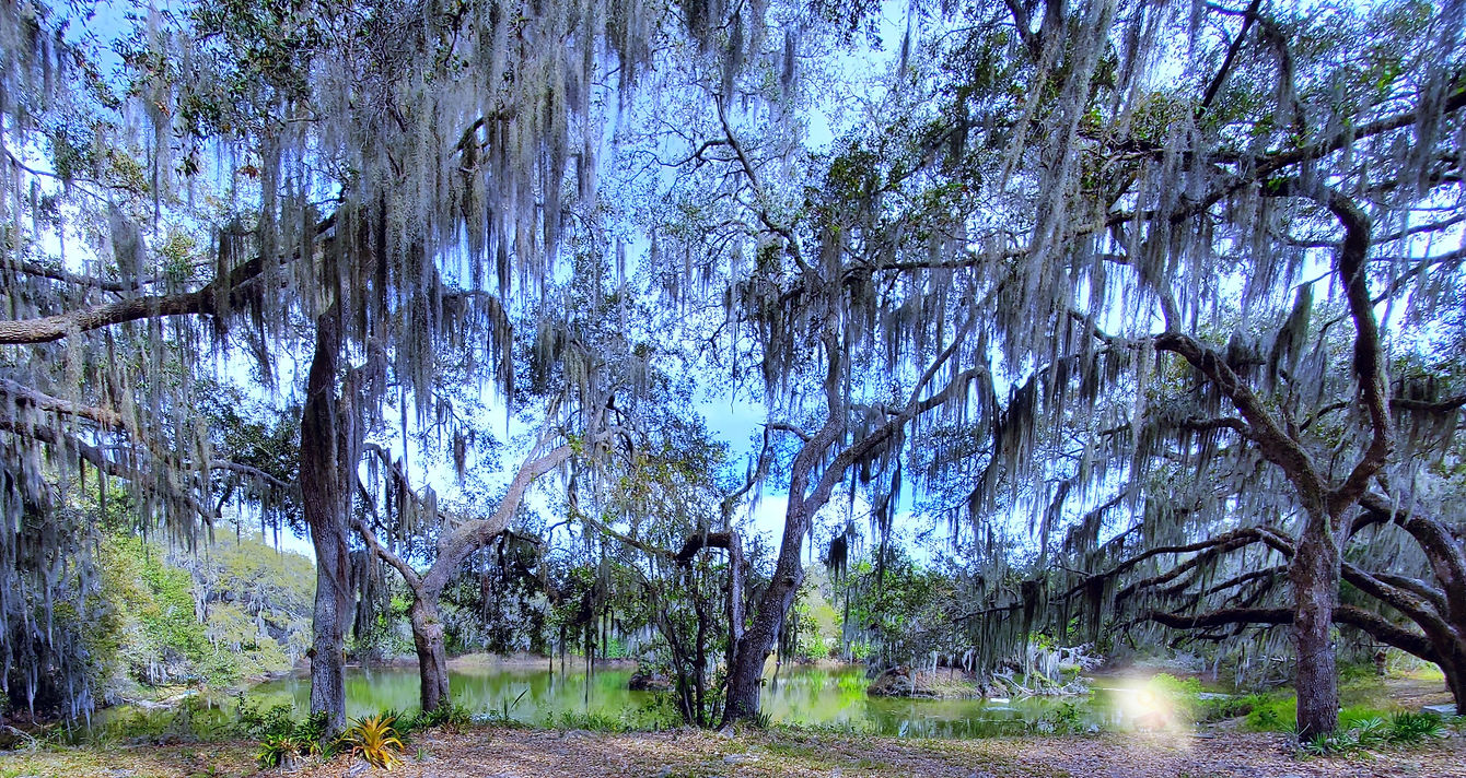 20220301_152732_edited_edited.jpg