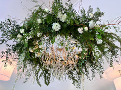 photo may 28 2023, 6 05 53 pm.jpg