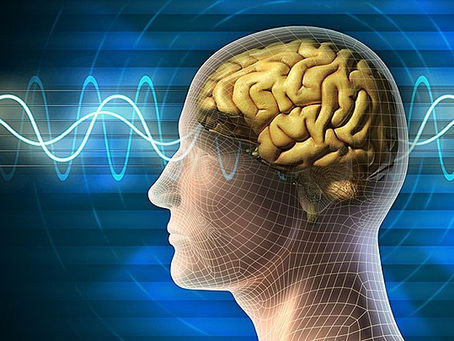 PEMF THERAPY RESEARCH FACTS!