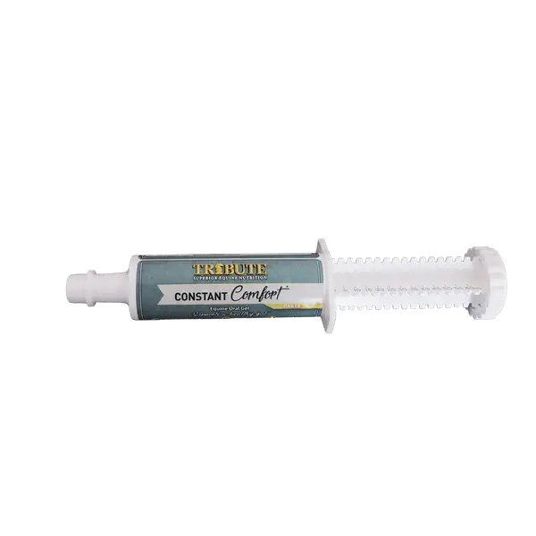 Constant Comfort Paste