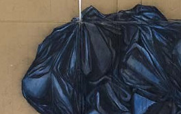 ORGANISM- I,2018.jpg