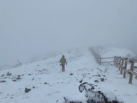 暖冬の南国の雪山