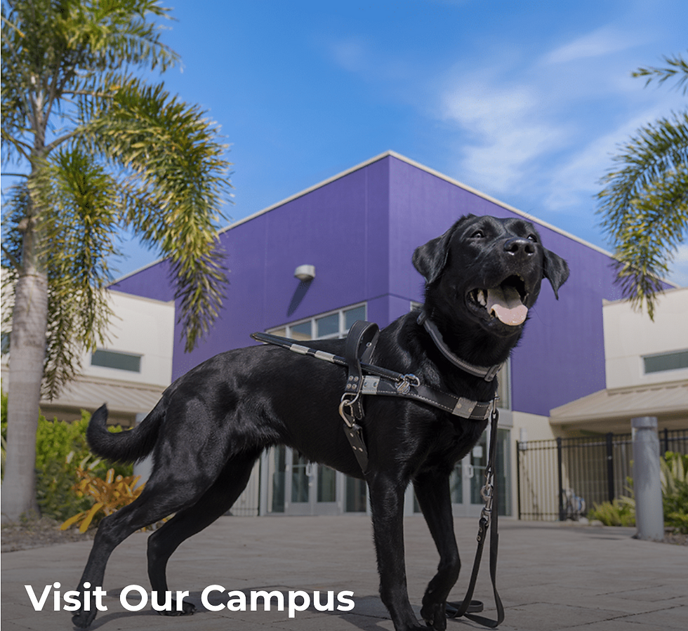 Dogs Inc. Discovery Day