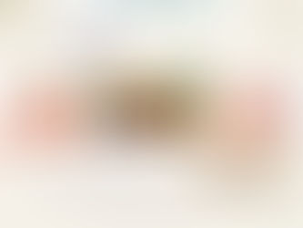 Le comptoir d'Anselme : les courses responsables