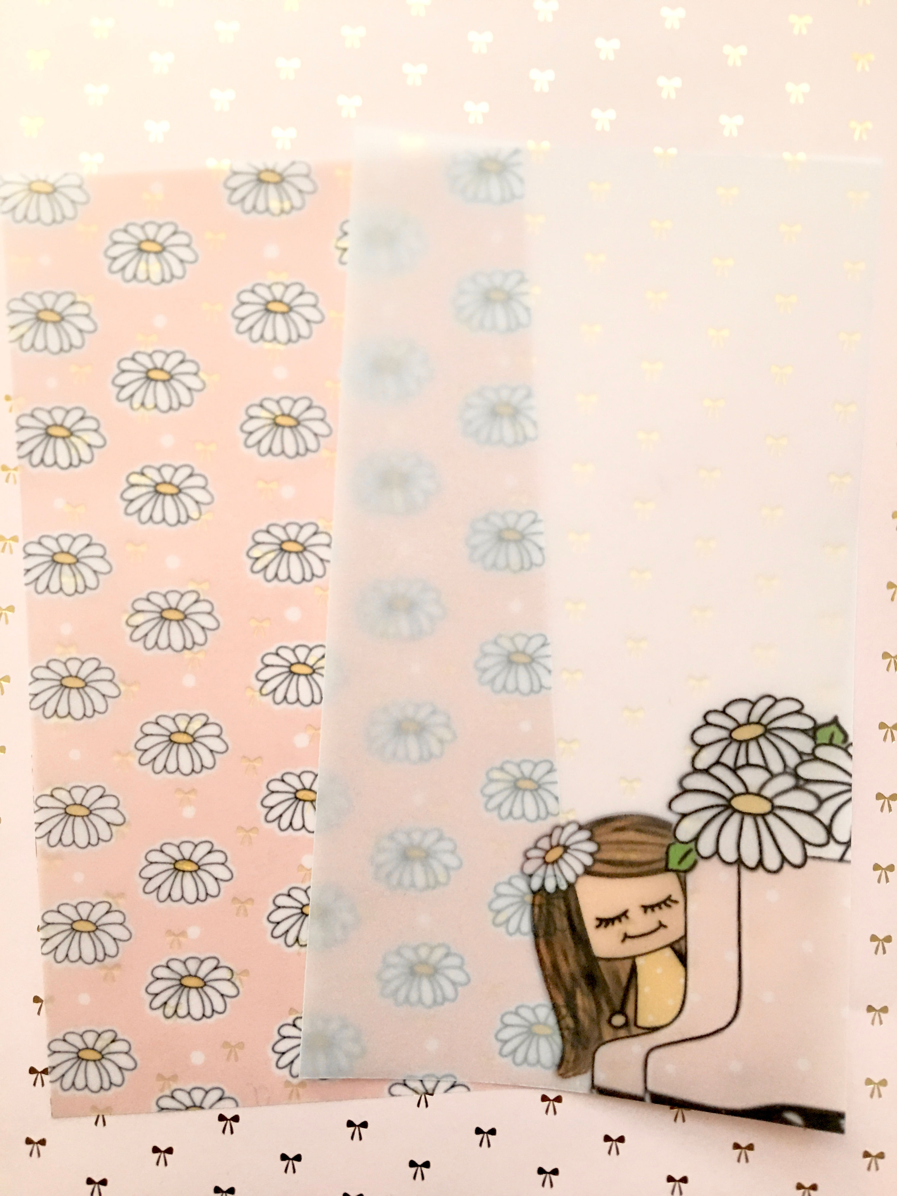 Daisy vellum insert