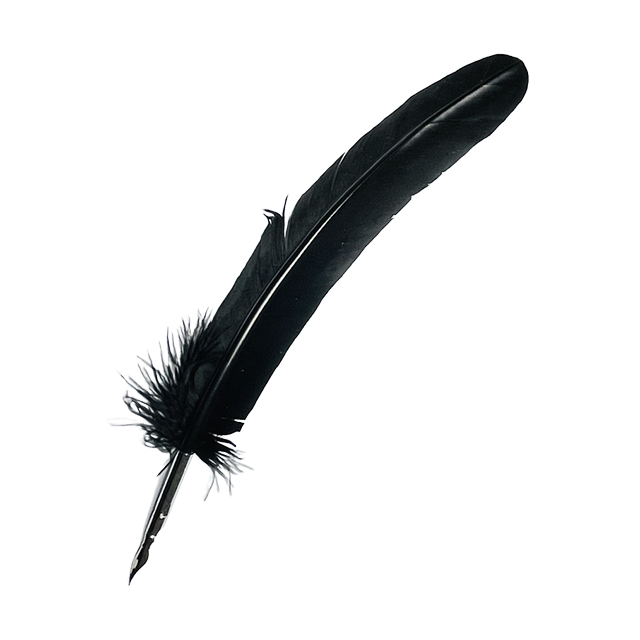 Plume d'oie noire avec bec en laiton