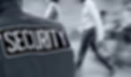 Geschichte der Securgroup Guards