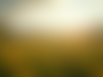 Discover Therapeutic Programs at Serviceberry Farm Today