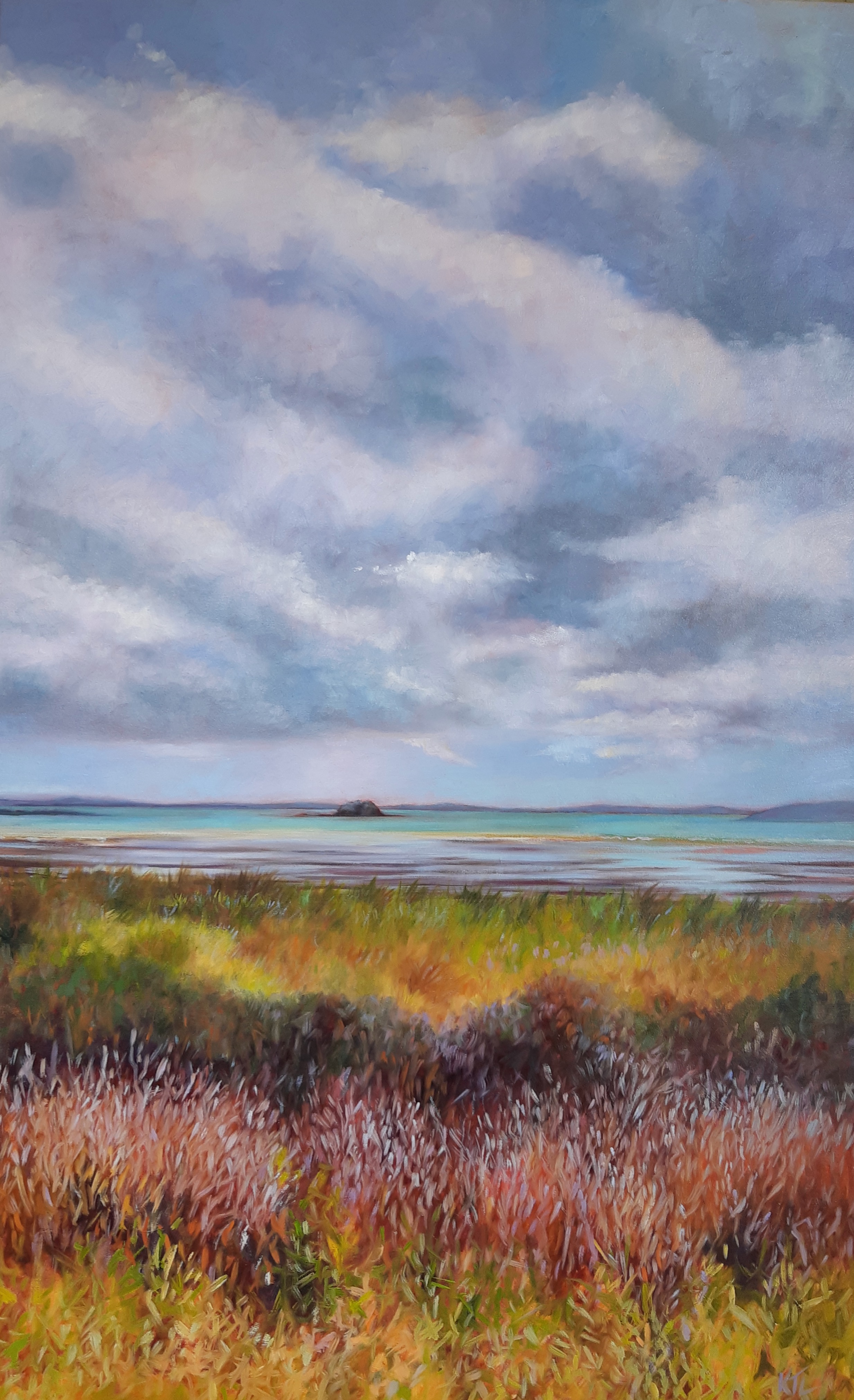 Low tide at Whakanewha , Waiheke