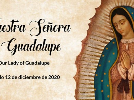 Fiesta de Nuestra Señora de Guadalupe