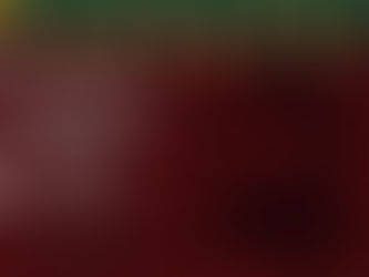 The Nativity of the Lord