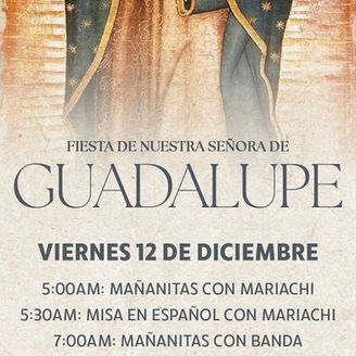 Our Lady of Guadalupe 2025