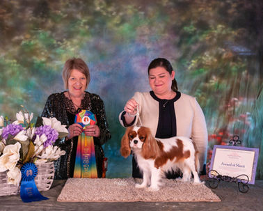 Orns-Fri2 LA NoWriting.jpg