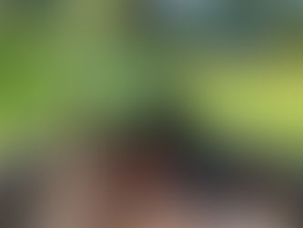 We zijn weer thuis in ons Talanghuset