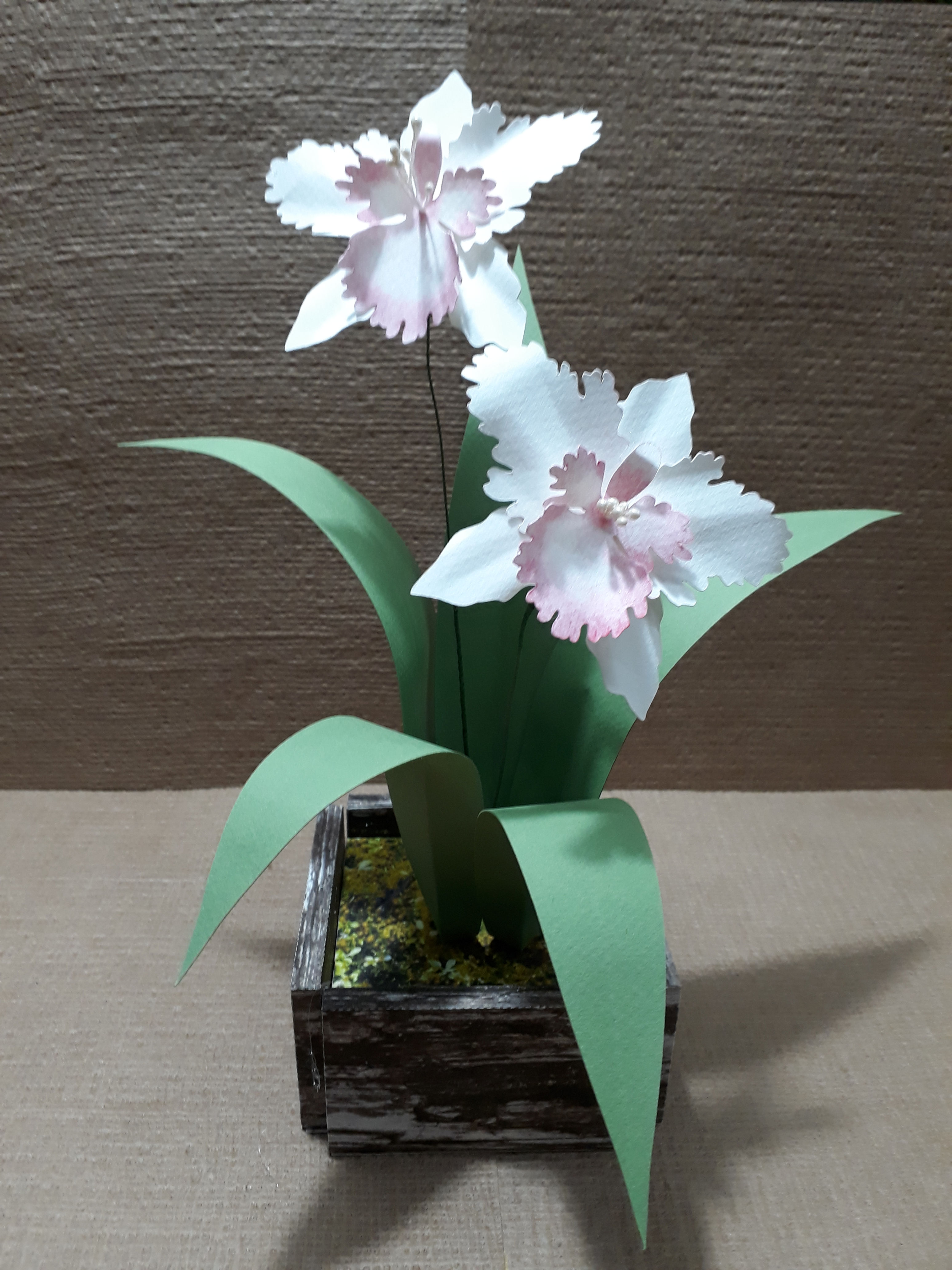 Curso On-line de Flores