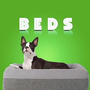 beds.png