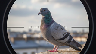 Creative vermin control at Cabela's