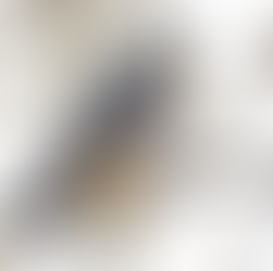 The Merlin Falcon, trying to decide if what he sees is lunch.