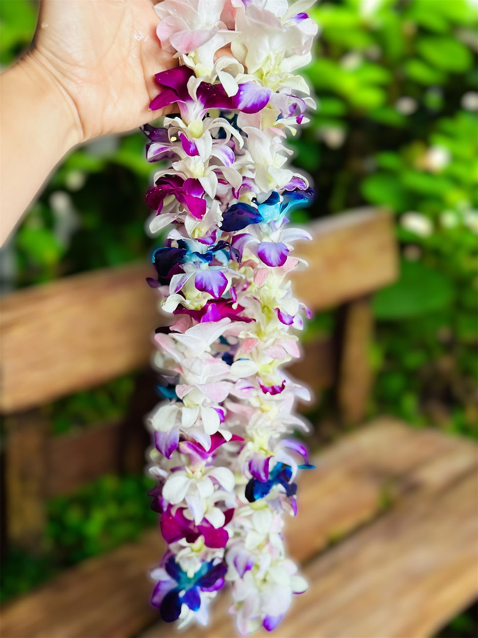 Thumbnail: Hawaiian White Orchid Lei + Tri Color (single)