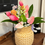Thumbnail: Floral Arrangements $95-$125