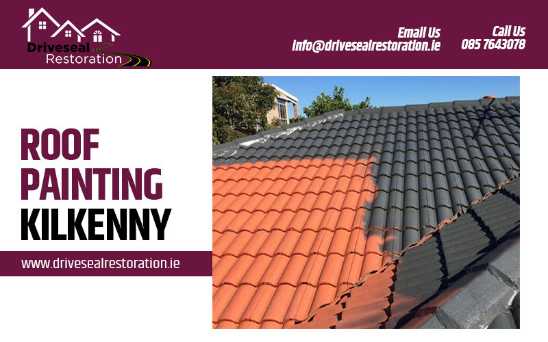 roof painting Kilkenny