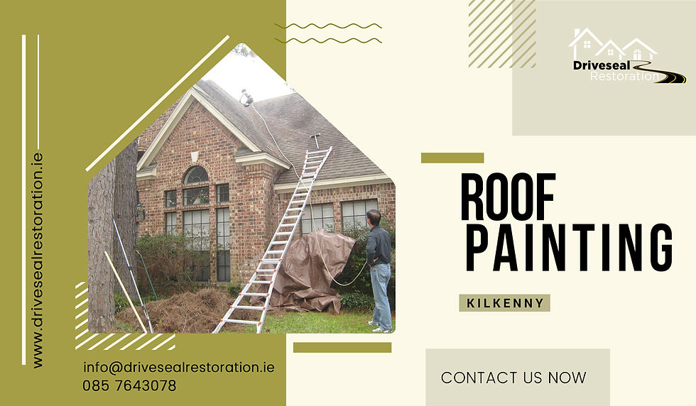 roof painting Kilkenny