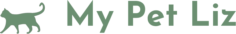 sua-logo.png