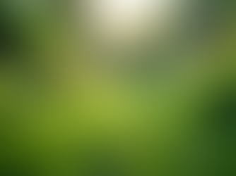 Nuevas Tendencias en Marketing Digital