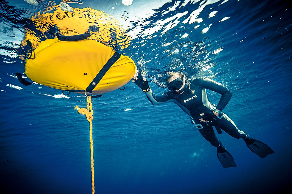 Dive Image-6.jpeg