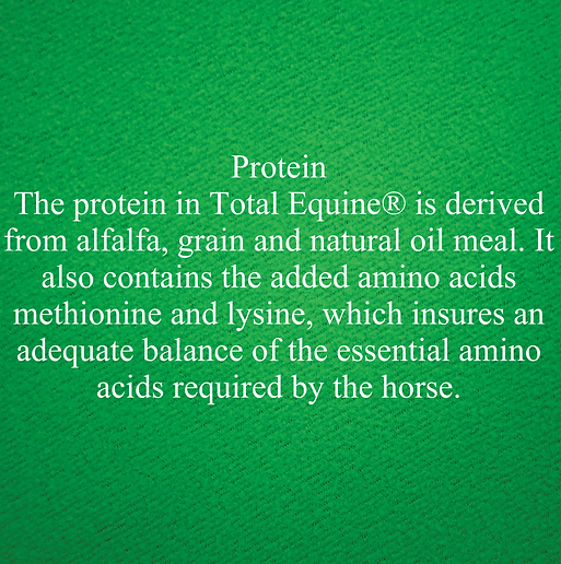 Total Feeds Total Equine Distributors Jlmranchandstables