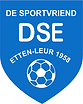 Logo DSE
