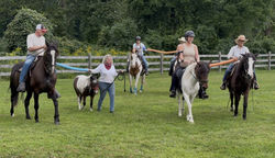 IMG_2447 (1)