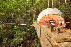 Dome Town Treehouse Rentals