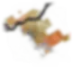 hero image.webp