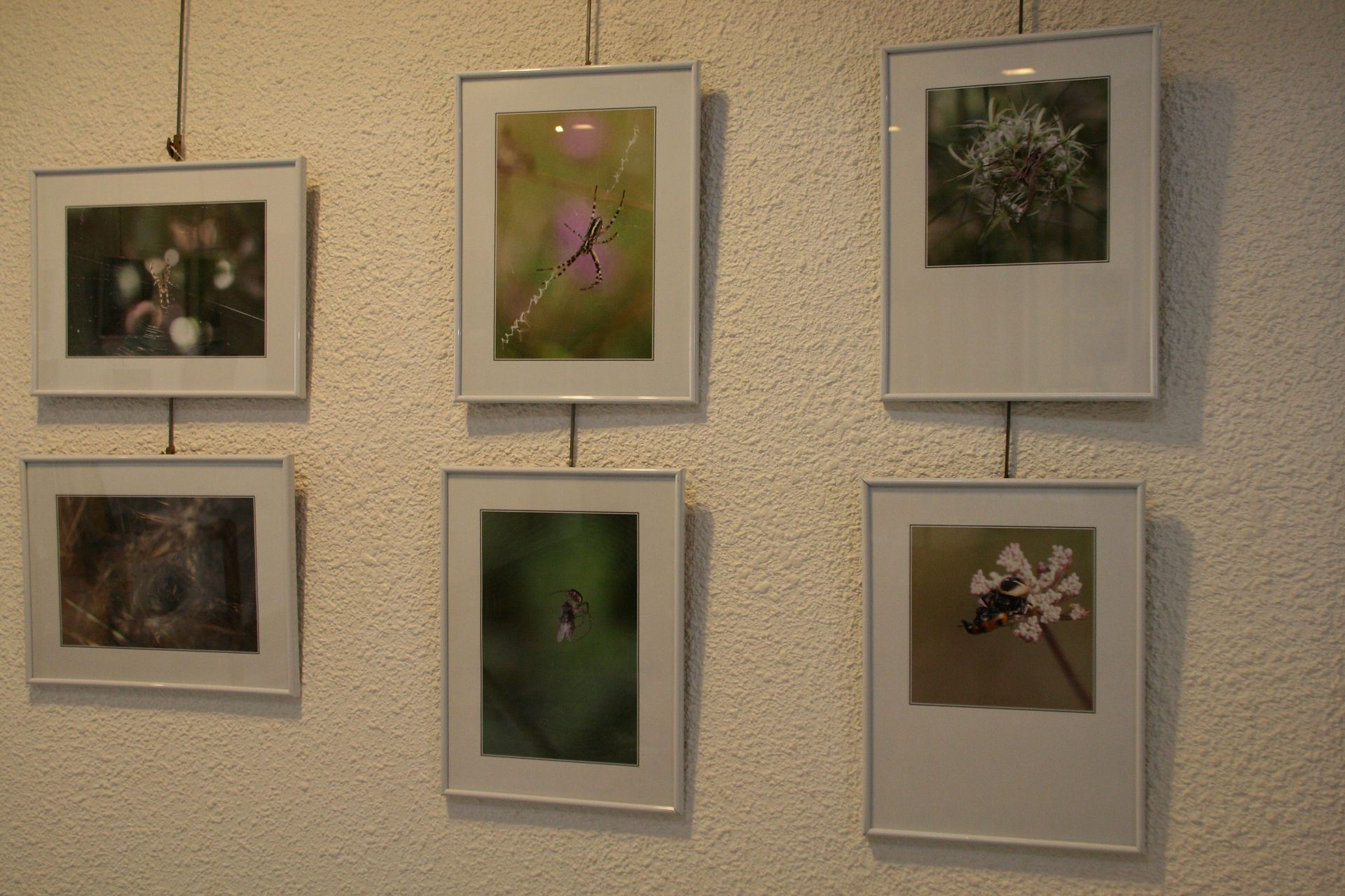 photoclubStMartin