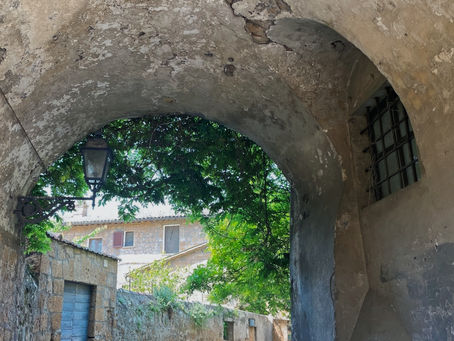 Tourist Ignorance: The Philosophy & Sociology of Making A Mark