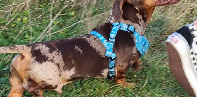 2021-09-25 17.28.46-1.jpg