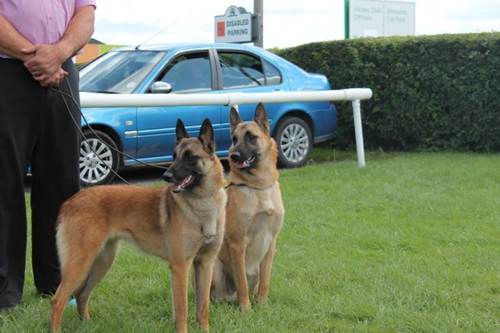hunter & bo