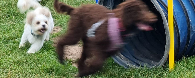 2021-09-12 18.29_edited.jpg