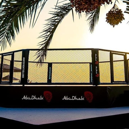 UFC 251: Fight Island Preview