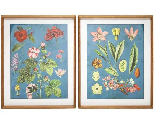 2ASTD BONTANIC FLORAL