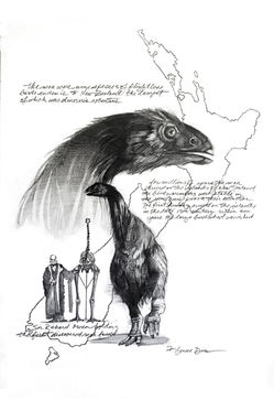 moa.jpg