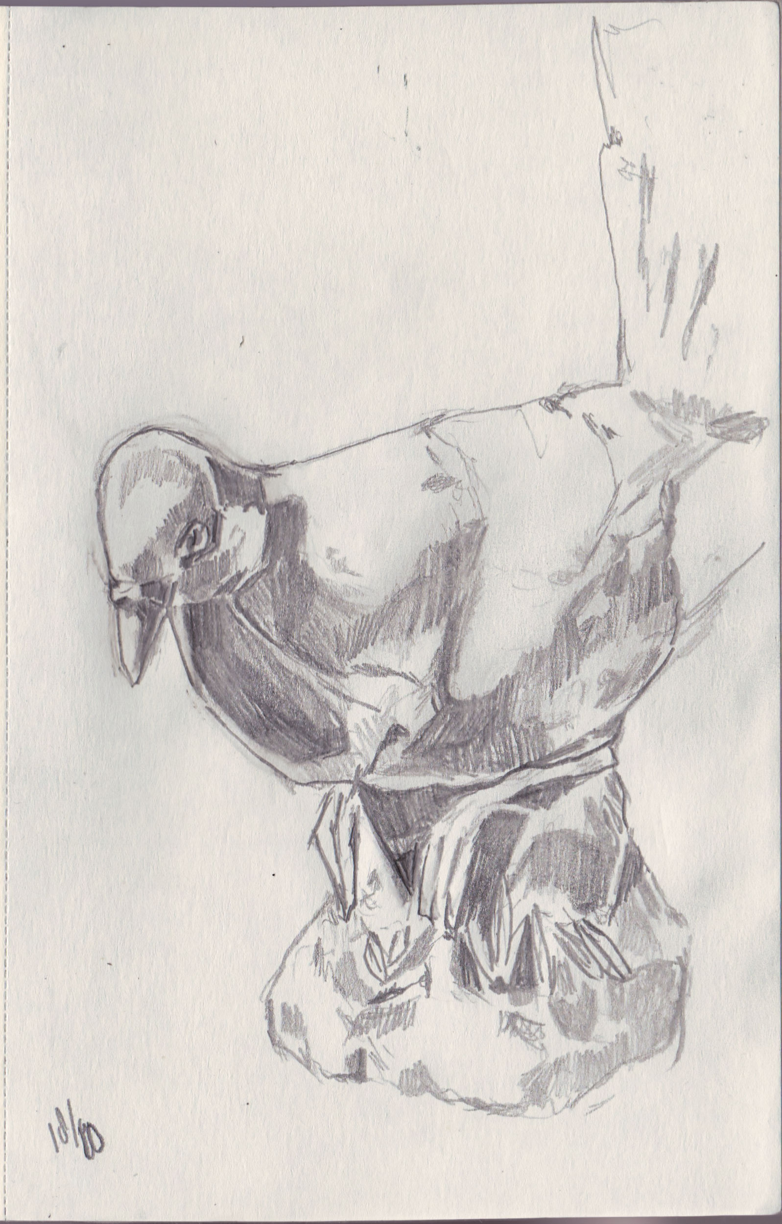 sketch 091