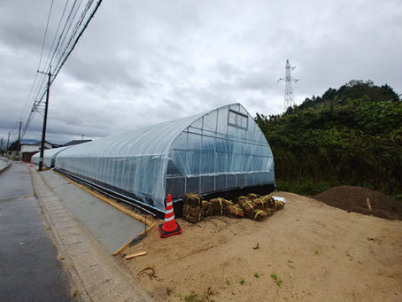 🍄　新たな環境～🍄