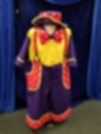 Baggies Clown Pants