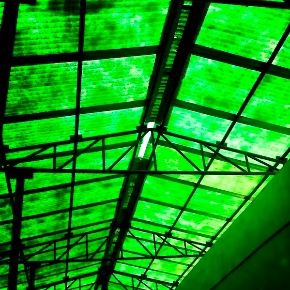 Market Roof