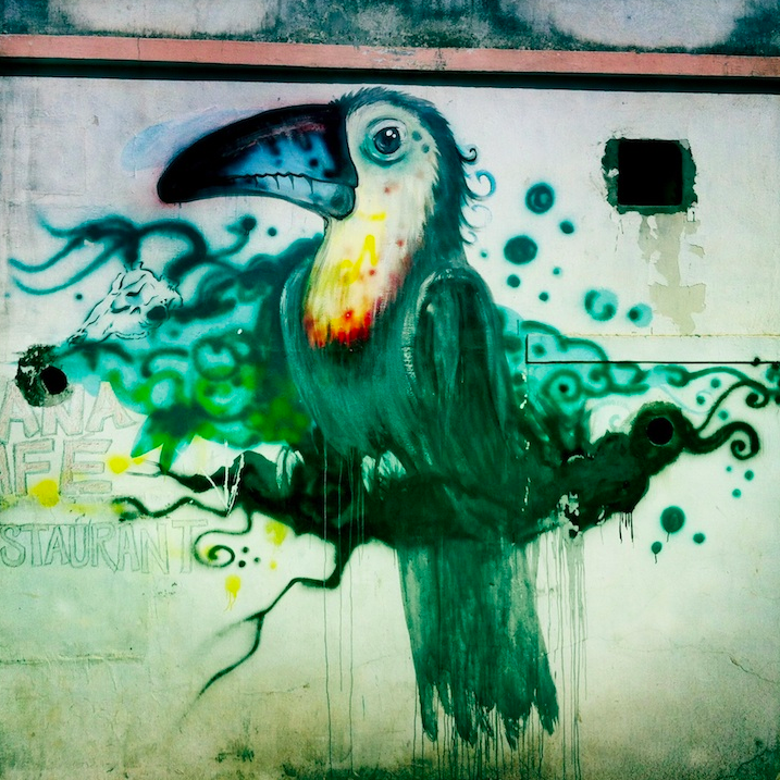 Street Bird
