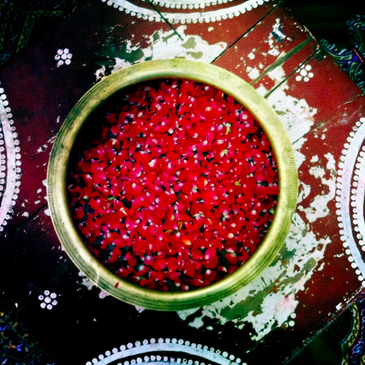 Flowers Daily Offering